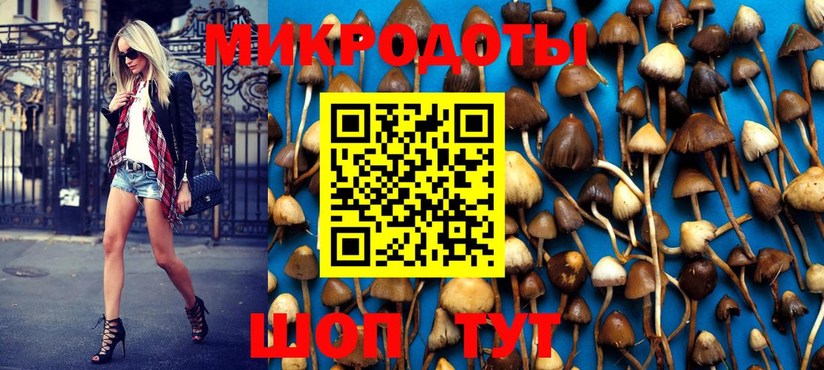 Галлюциногенные грибы Cubensis  Вход с VPN  Галлюциногенные грибы Psilocybe  Зеленогорск 